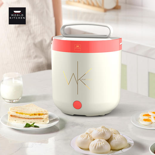 康宁 蒸汽电饭盒 wk-fh1304/kz