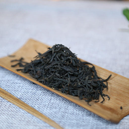 最后的绝唱正山小种麻粟老枞武夷山桐木村是世界第一款红茶的发源地