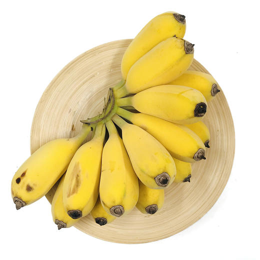 新到福建土楼苹果蕉