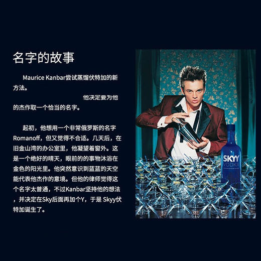 SKYY深蓝伏特加 商品图2