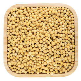 散装黄豆500g