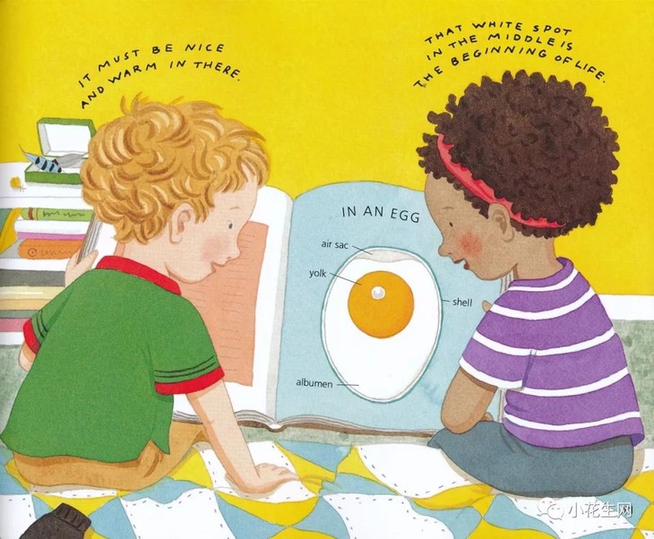 发现科学 科普分级读物let S Read And Find Out Science 国外科学启蒙经典读本