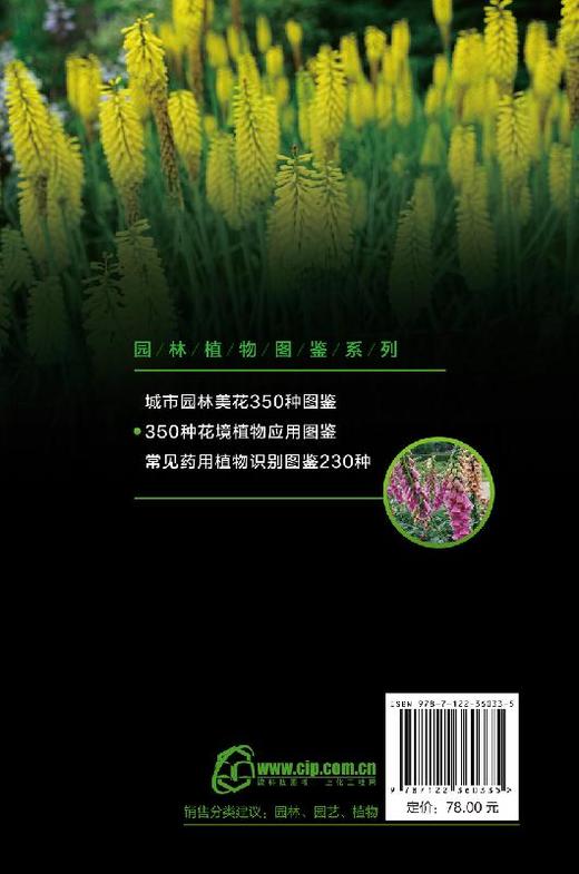 园林植物图鉴系列 350种花境植物应用图鉴 任全进 园林规划设计施工养护园艺书籍 庭院风景花卉种植栽培技术书园林绿化植物书籍 商品图1