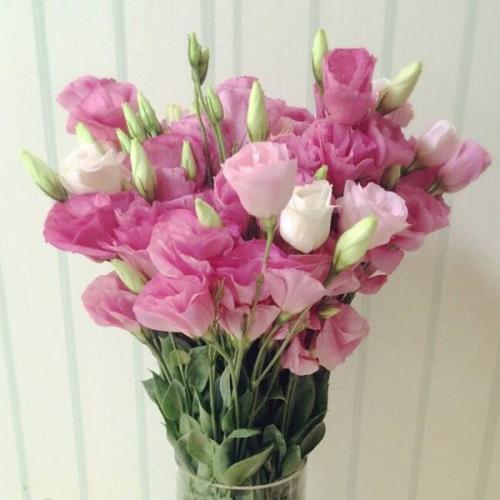 单支粉色洋桔梗（10支起卖不含花瓶不含任何包装) 商品图0