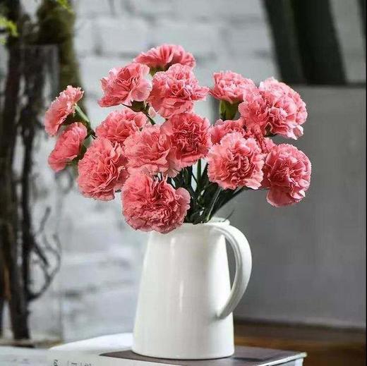 单支粉色康乃馨(20支起送，不含任何包装，不含花瓶) 商品图0