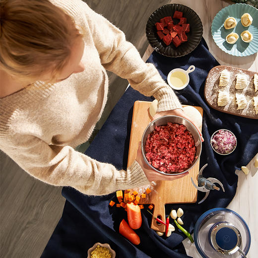 MORPHY RICHARDS/摩飞电器摩飞绞肉机料理机JQR 商品图3