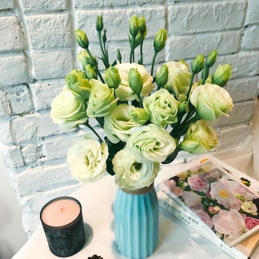 单支绿色洋桔梗（10支起卖不含花瓶不含任何包装) 商品图0