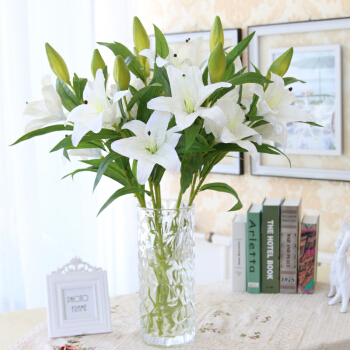 单支白色多头香水百合(8支起送，不含任何包装，不含花瓶)