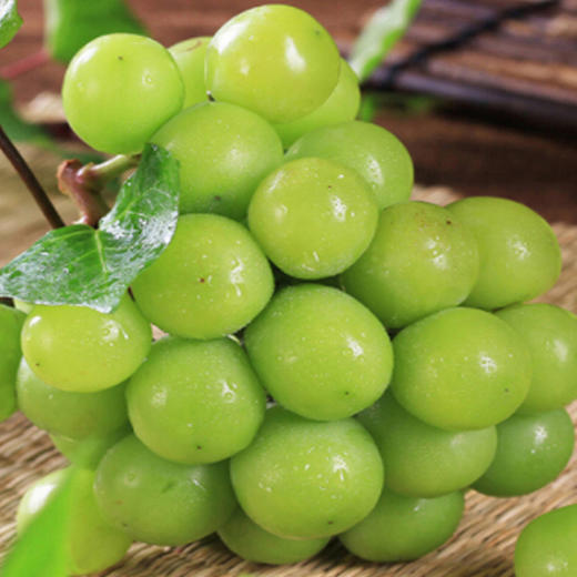 晴王品种青提果肉细腻滑嫩入口清甜脆爽玫瑰果香四溢科学种植果型圆润