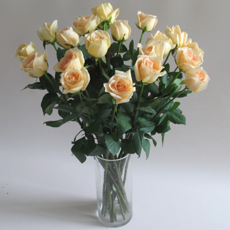 单支香槟色玫瑰(10支起送，不含任何包装，不含花瓶)