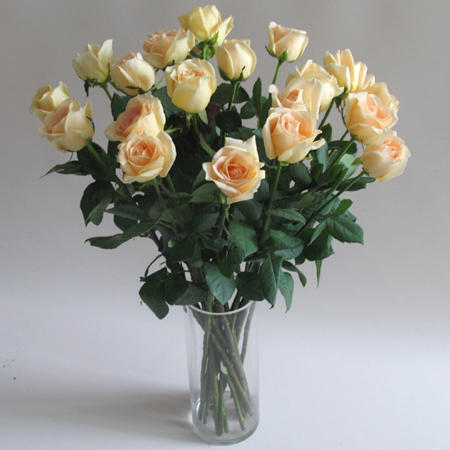 包月单支玫瑰颜色任选不含包装花瓶 商品图3