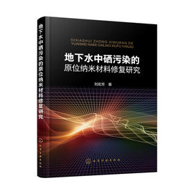 地下水中硒污染的原位纳米材料修复研究