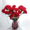 单支红色康乃馨(20支起送，不含任何包装，不含花瓶) 商品缩略图0