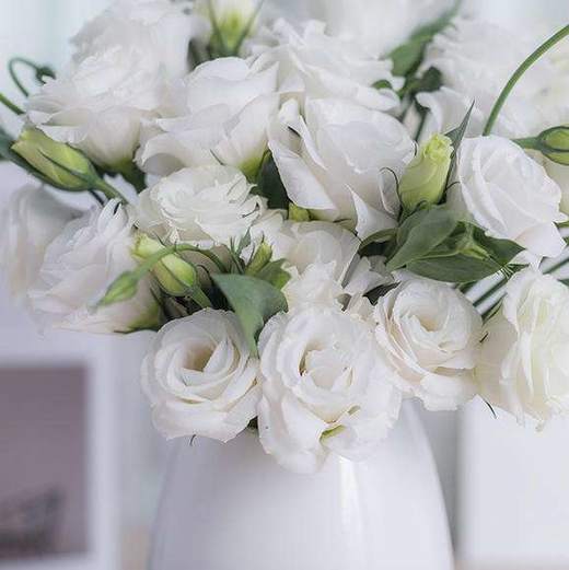 单支白色洋桔梗（10支起卖不含花瓶不含任何包装) 商品图0