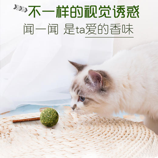猫薄荷 棒棒糖3支装麦斯蒂猫薄荷球木天蓼玩具猫零食猫咪磨牙棒 商品图4