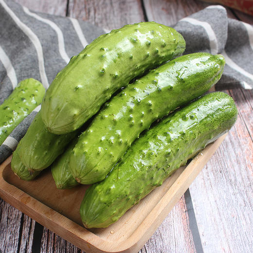 优选|海阳白玉黄瓜   脆嫩多汁  清香扑鼻   甜润爽口  4.5斤 商品图10