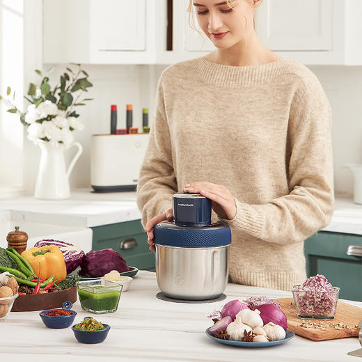 MORPHY RICHARDS/摩飞电器摩飞绞肉机料理机JQR 商品图2