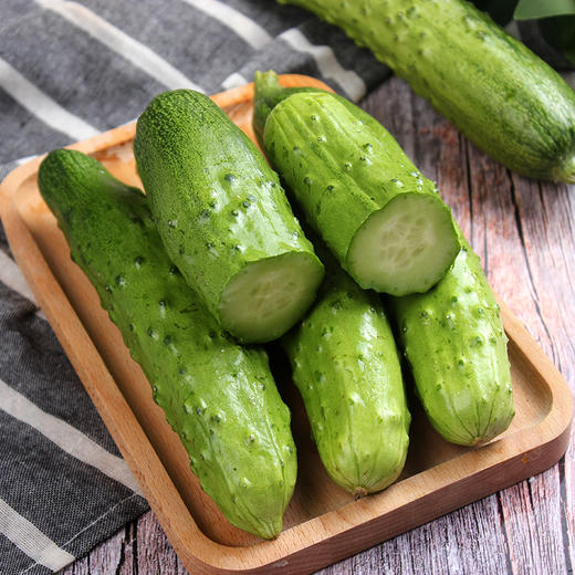 优选|海阳白玉黄瓜   脆嫩多汁  清香扑鼻   甜润爽口  4.5斤 商品图7