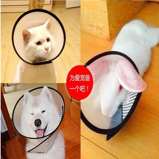 玲宠伊丽莎白宠物防咬防舔狗狗项圈猫咪头套头套防咬防舔耻辱圈用品 商品图2