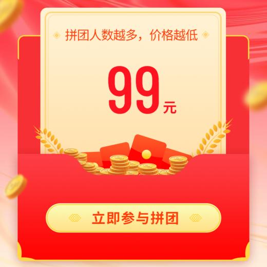 99元优惠券2 商品图0