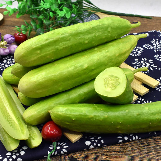 优选|海阳白玉黄瓜   脆嫩多汁  清香扑鼻   甜润爽口  4.5斤 商品图9