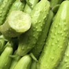 优选|海阳白玉黄瓜   脆嫩多汁  清香扑鼻   甜润爽口  4.5斤 商品缩略图6