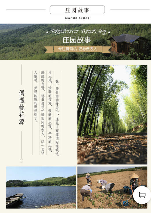 莹莹测试 商品图0