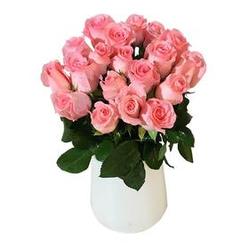 单支戴安娜(10支起送，不含任何包装，不含花瓶)