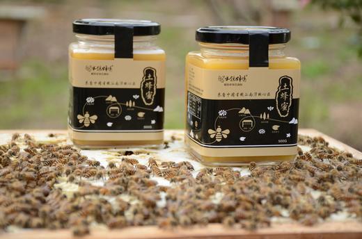【来自中国有机谷核心区】南漳水镜蜂情土蜂蜜500g  深山原始放养 商品图2