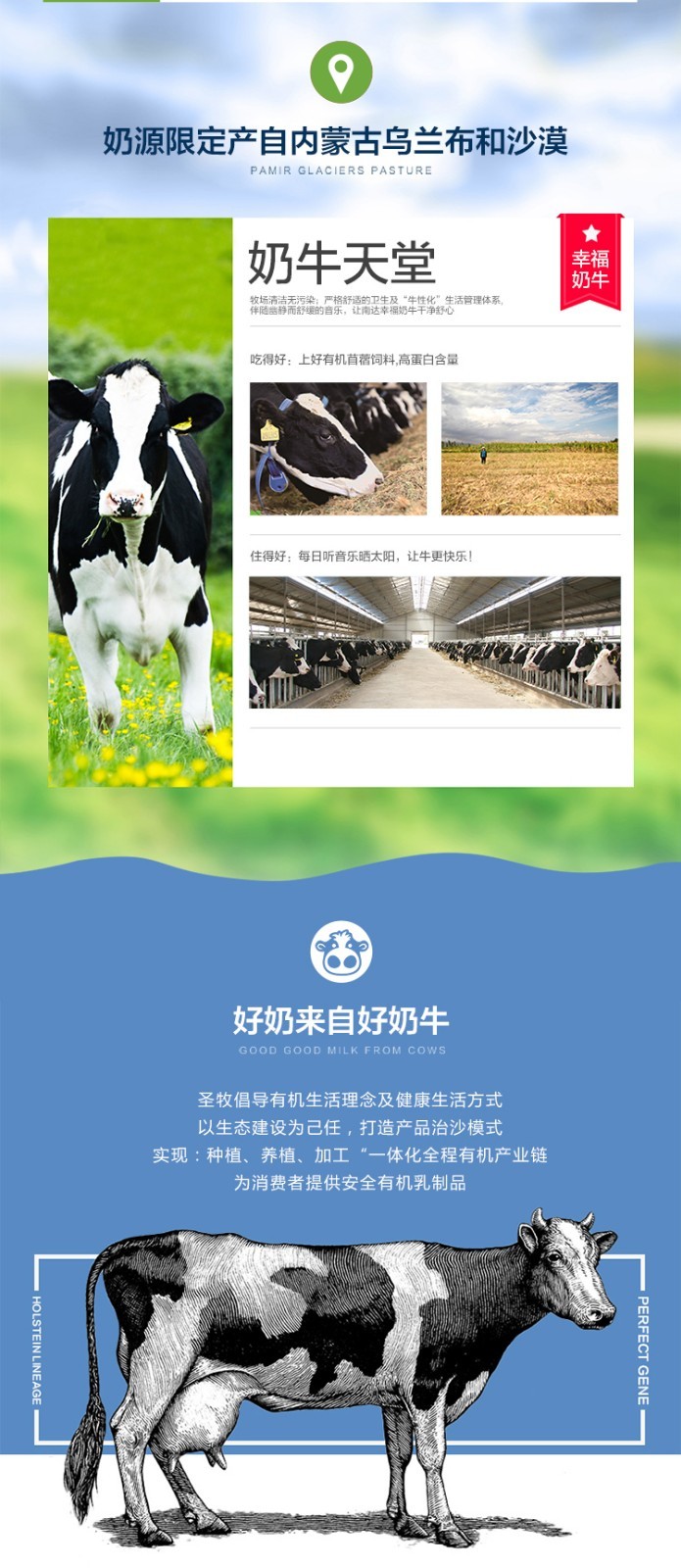 安徽圣牧乳业图片
