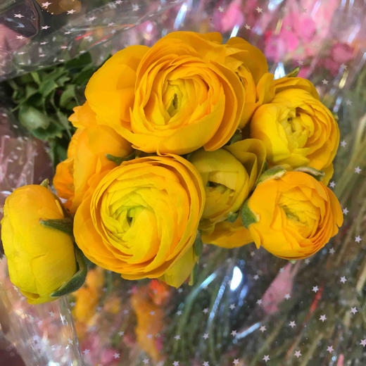 配花-洋牡丹-黄色-20枝 商品图2