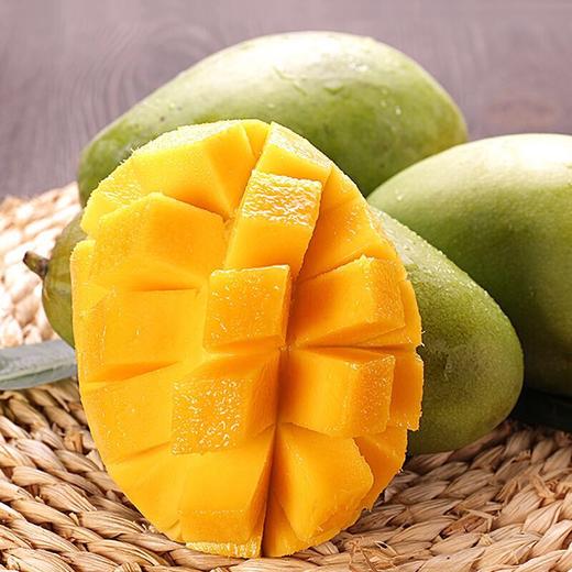攀枝花金煌芒果 果肉香甜细腻 纤维少口感佳 甜度高几乎无酸