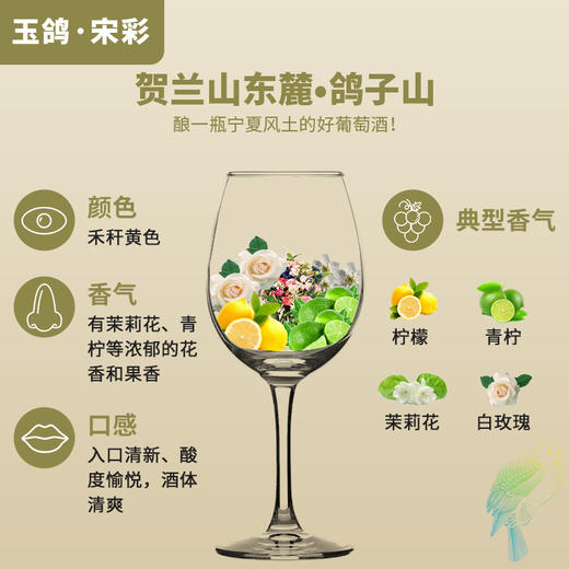 玉鸽国际版干白葡萄酒 商品图3