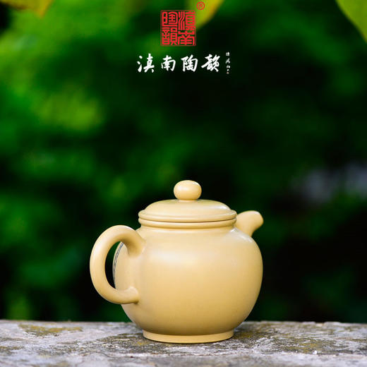 逯英杰茶壶 商品图3