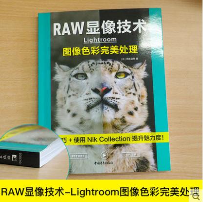 RAW显像技术:Lightroom图像色彩完美处理 入门基础教材构图技巧大全人像静物风景布光用手机玩数码单反后期技术黑白初学精通教学程 商品图1