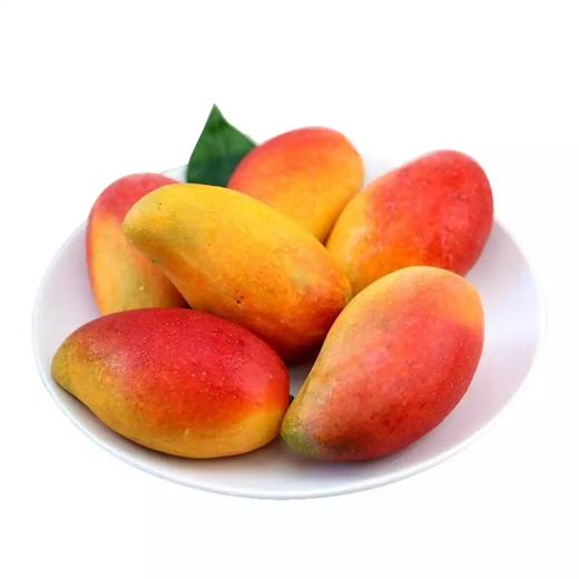 元江金凤芒果小芒果香甜爽滑果肉纯甜