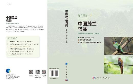 中国茂兰鸟类 商品图3