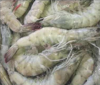 国联龙霸厄瓜多尔虾50/60（300g）袋 商品缩略图1