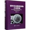 钢中非金属夹杂物:工业实践 商品缩略图0
