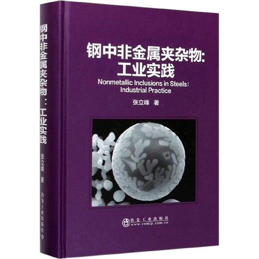 钢中非金属夹杂物:工业实践 商品图0