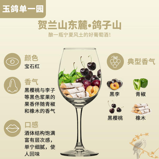 玉鸽单一园赤霞珠干红葡萄酒 商品图5