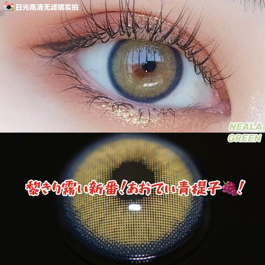 【黎雾】Neala green小青提（硅水凝胶）约14.0mm【瞳孔偏大可能会挡视线，介意慎拍】【年抛】0到200度缺货 商品图2
