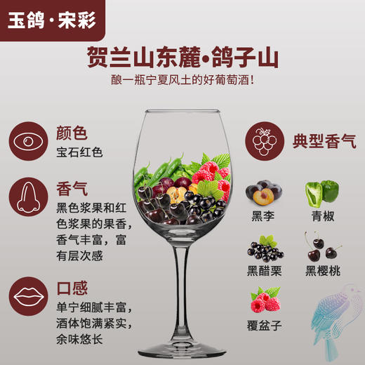 玉鸽国际版干红葡萄酒 商品图3