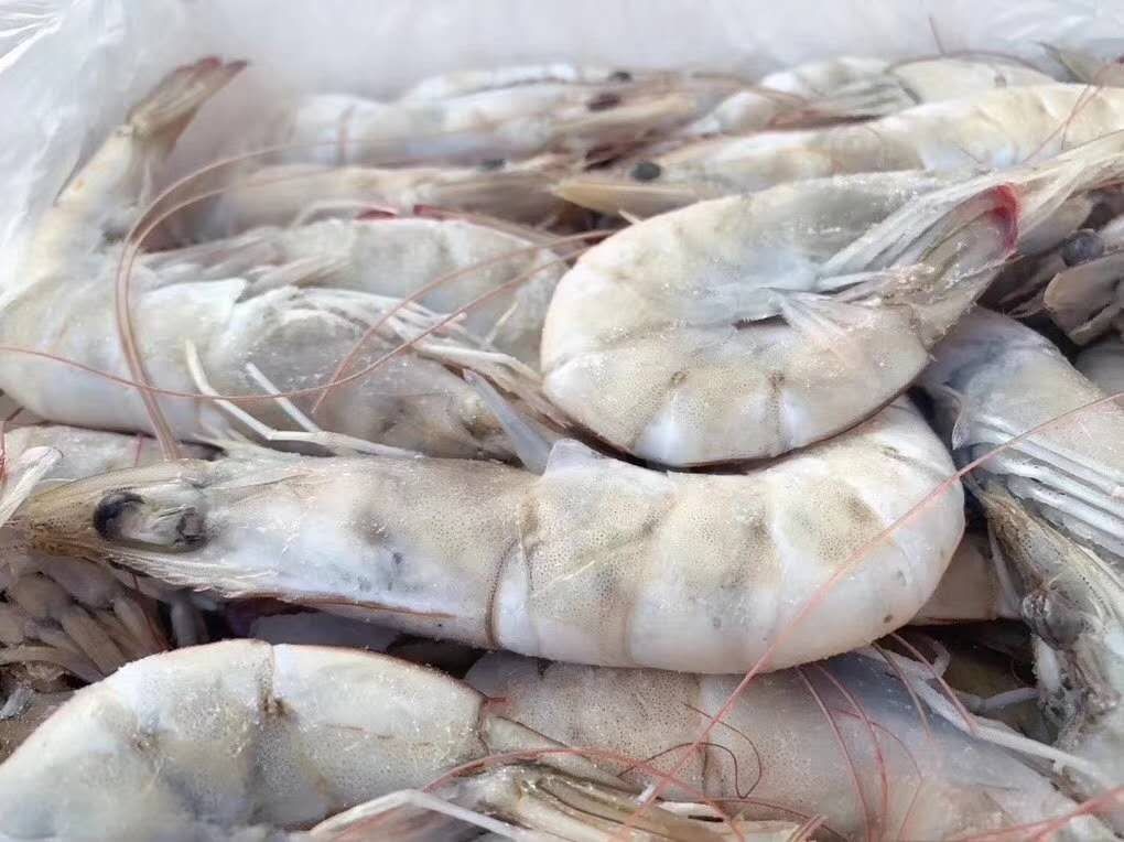 厄瓜多尔南美白对虾一盒装 带包装4斤左右