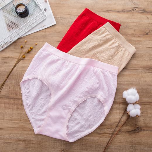 精梳棉加肥特大女士富姐裤肥姐裤无缝内裤1498/2900 商品图4