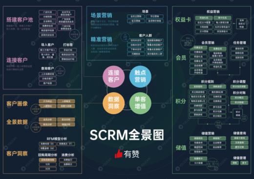 电商SCRM经营解决方案（附客户生命周期/消费旅程全景图） 商品图0