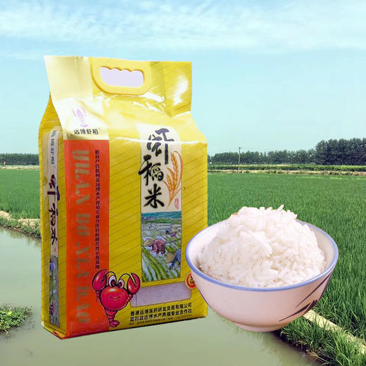 远博虾稻米（黄包）5kg 商品图1