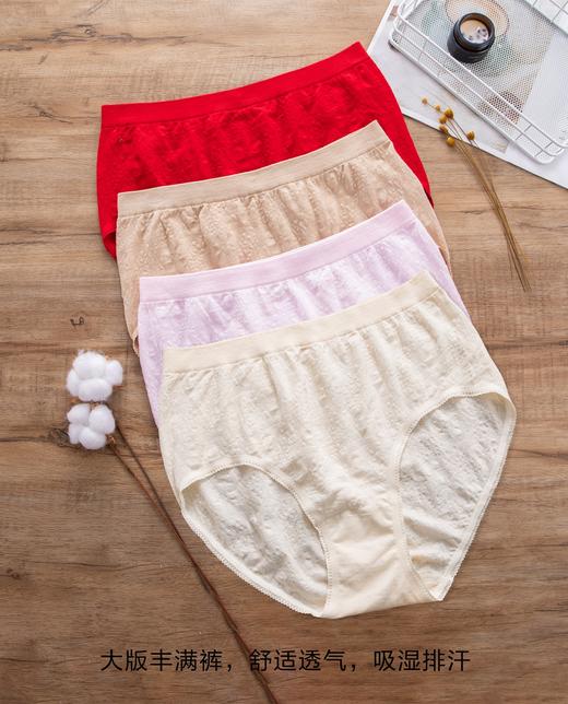 精梳棉加肥特大女士富姐裤肥姐裤无缝内裤1498/2900 商品图10