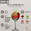 玉鸽单一园蛇龙珠干红葡萄酒 整箱750ml*6 商品缩略图4