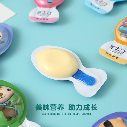 吉士汀成长奶酪棒混合水果